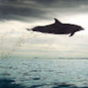 Meet your Posher, Lily